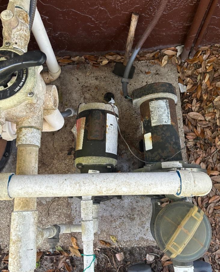 Swimming Pool Pump and Motor
